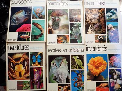 un grand nombre de livres posés sur une table