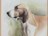 tableau représentant un chien brun et blanc debout devant un fond vert
