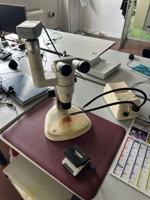 binoculaire Nikon SM2800 1 source lumineuse