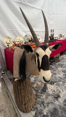 une peluche posée sur une table