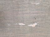 a bird that is sitting on the ground next to a wall