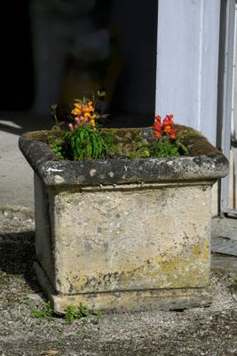 Bac à plante quadrangulaire en ciment à lèvre débordante