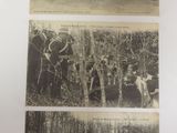 three black and white photos of a group of people in the woods