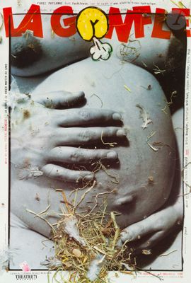 a picture of a magazine with a picture of a pregnant woman