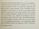 Photo 9/20 du lot