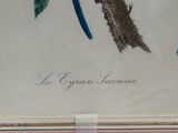 painting of a blue bird perched on a branch in a frame