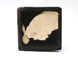 a small black box with a picture of a whale in it