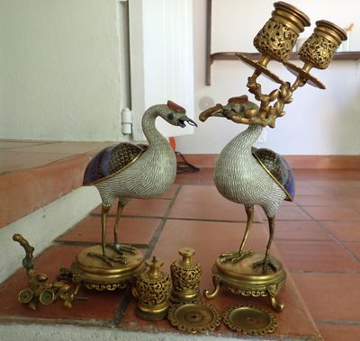 deux oiseaux qui se tiennent l'un à côté de l'autre sur une table