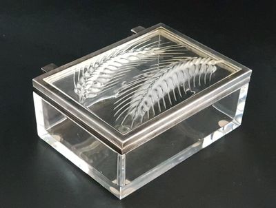 a glass box with a plant in it on a table