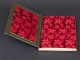 an open book with red leaves on it sitting on top of a table