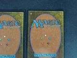 pair of magic the gathering deck protectors for deckmaster