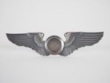 a close up of a badge with wings on a white background