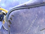 a blue bag with a handle on it sitting on the ground