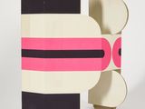 a black and white and pink book with a pink stripe on it