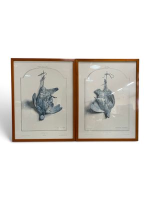 two framed pictures of a cat and a bird on a white background