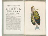 an open book with a drawing of a bird on it ' s cover