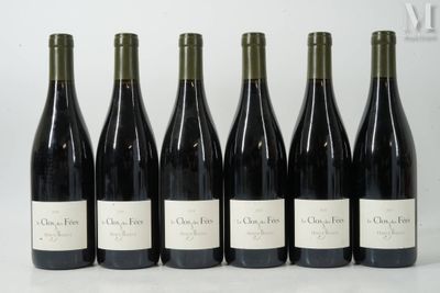 six bouteilles de vin sont alignées sur une surface blanche