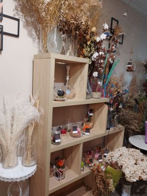 a shelf of dried plants in a room with pictures on the wall