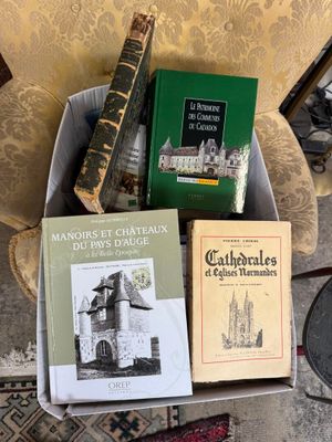 trois livres posés dans une boîte par terre