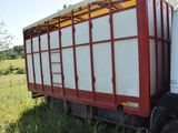 a red and white truck that is parked in the grass