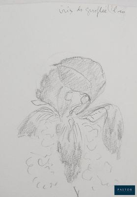 a drawing of a woman in a hat with a flower in her hand