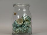 a glass jar filled with sea shells on a white surface