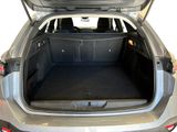 a trunk of a car with the trunk open