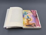 un livre ouvert sur lequel figurent un chat et un oiseau