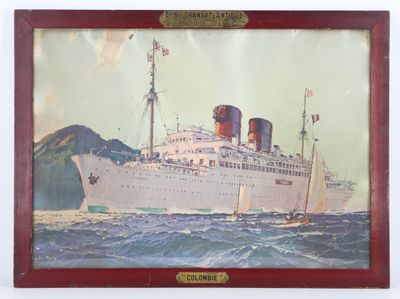 tableau représentant un grand navire blanc sur l'eau, avec des montagnes en arrière-plan
