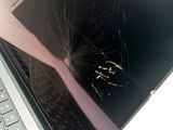 a spider that is sitting on the screen of a laptop