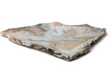 an image of a piece of rock that is on a white surface