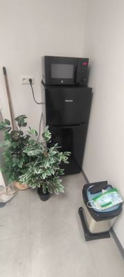une plante en pot dans un coin de la pièce, à côté d'un téléviseur