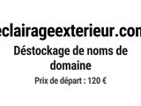 Photo 1/1 du lot