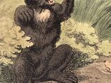 a drawing of a bear that is sitting on its hind legs