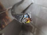 a close up of a bird that is flying through the air