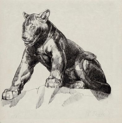 dessin représentant un ours sur un rocher, en noir et blanc