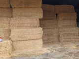 des balles de foin empilées dans une zone de stockage d'une grange