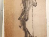 une vieille photo d'un homme debout sur un tabouret, tenant une perche