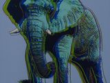 une photo d'un éléphant debout dans l'herbe