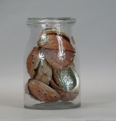 a glass jar filled with shells and shells in it