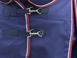 a close up of a horse wearing a blue and red blanket