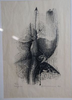 un dessin en noir et blanc représentant un oiseau avec une flèche plantée dans la tête