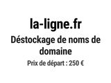 Photo 1/1 du lot