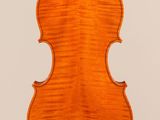 an old violin with a wooden back and a long neck