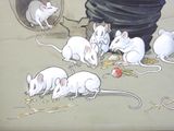 a lot of mice that are eating food out of a bucket