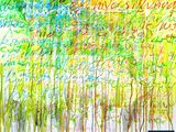 a painting of a group of trees with writing on it