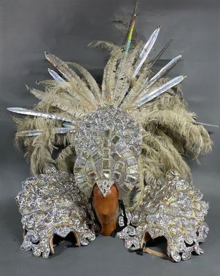 une image représentant un costume fait de plumes et de plumes