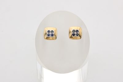 a close up of a pair of earrings on a white surface