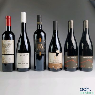 plusieurs bouteilles de vin sont alignées sur une table