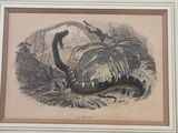 painting of a snake in a jungle with a bird perched on it ' s back